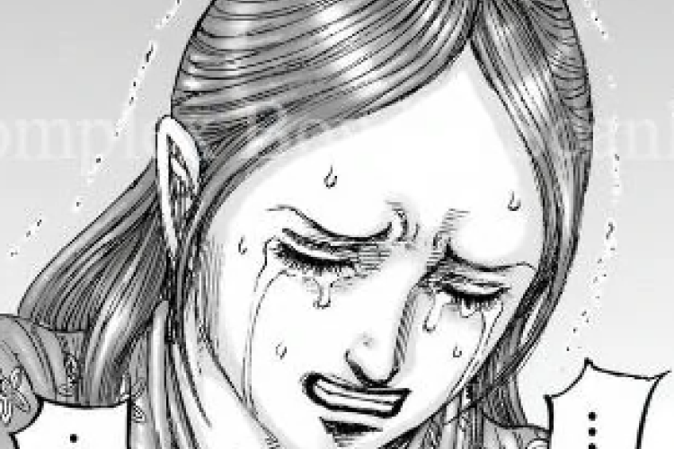 Leer Manga Kingdom Capítulo 841 en español RAW Scan, La guerra ya era inevitable