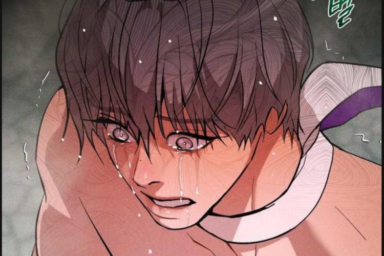 Leer y Spoilers Manhwa Pearl Boy : Ignite The Dawn Capítulo 15 en Español, Una mirada que pone nervioso